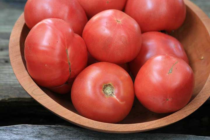 Arkansas Traveler Heirloom Tomatoes