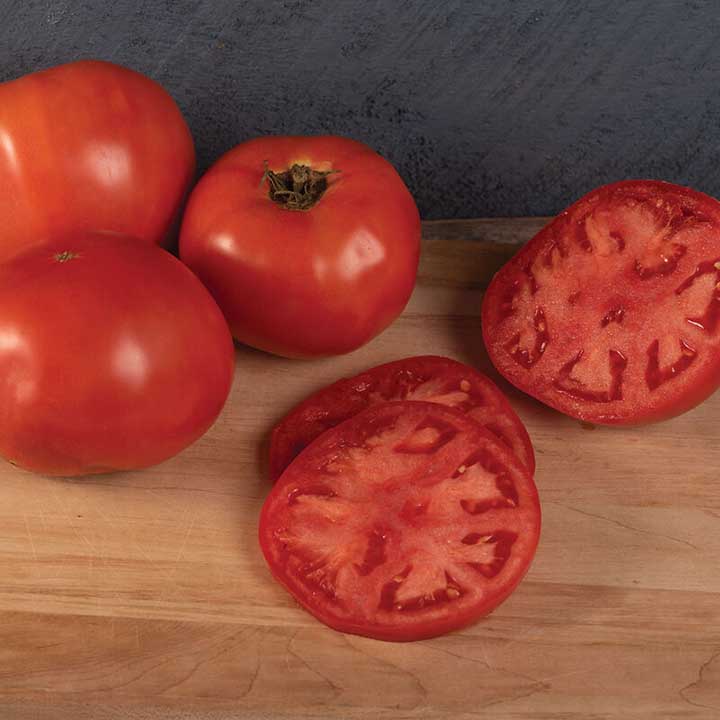 Galahad Determinate Tomato