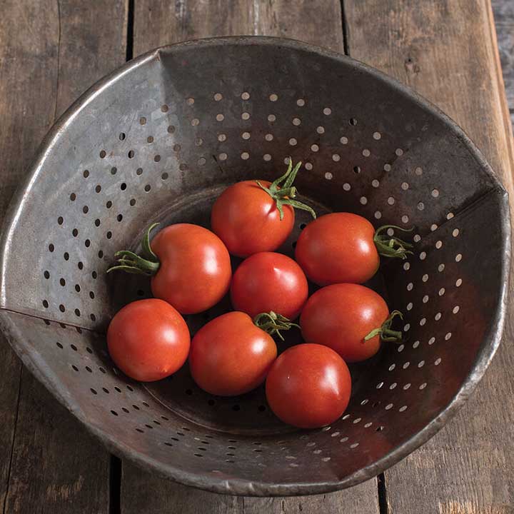 Glacier Determinate Tomato