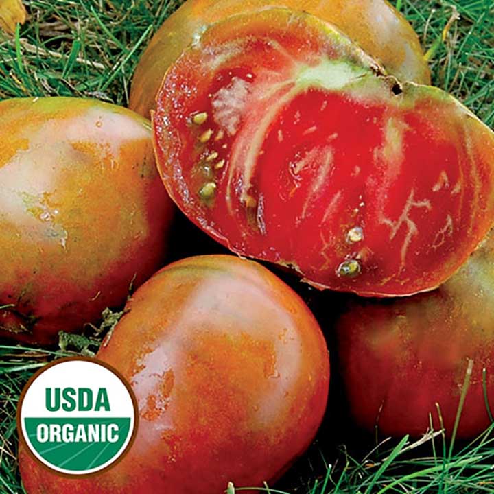 Paul Robeson Heirloom Tomatoes