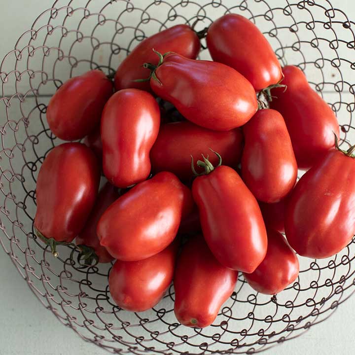 San Marzano Determinate Tomato