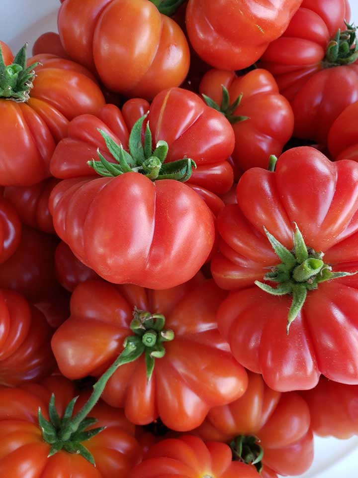 Costoluto Genovese Heirloom Tomatoes