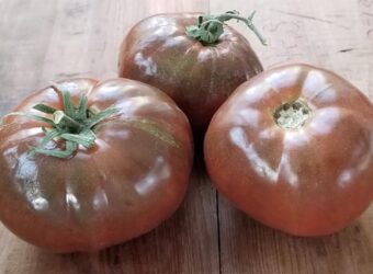 How to Grow Paul Robeson Tomatoes