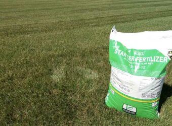 What is 12-12-12 Fertilizer Good For? – When and How to Use It?