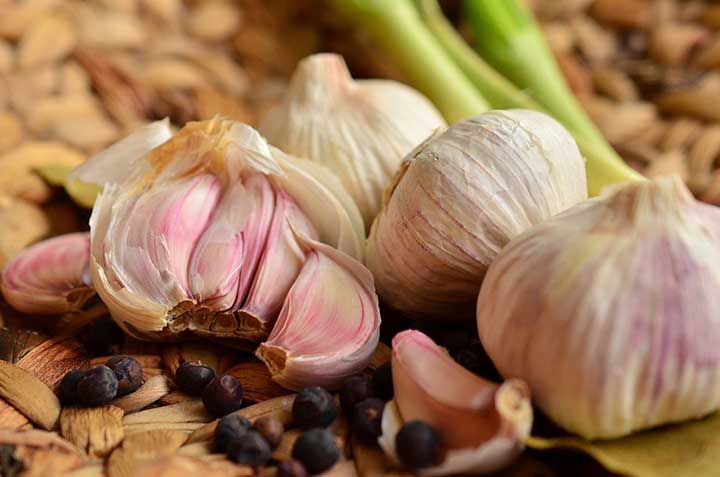 Getting Your Elephant Garlic from Planting to Harvesting