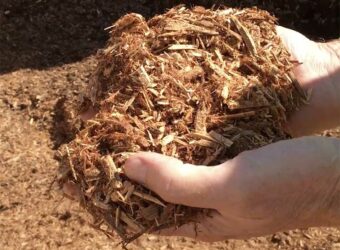 Cypress Mulch –What Is It And How Do I Use It?