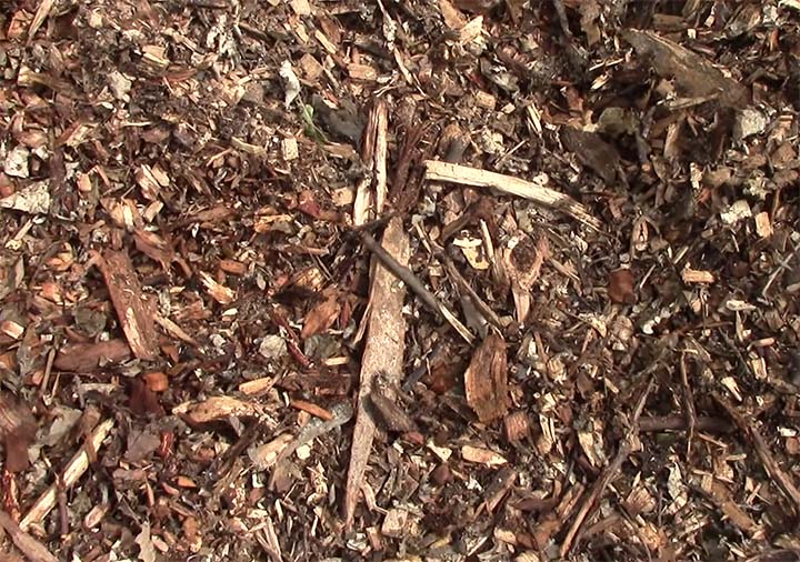 Hardwood Chips and Bark as mulch