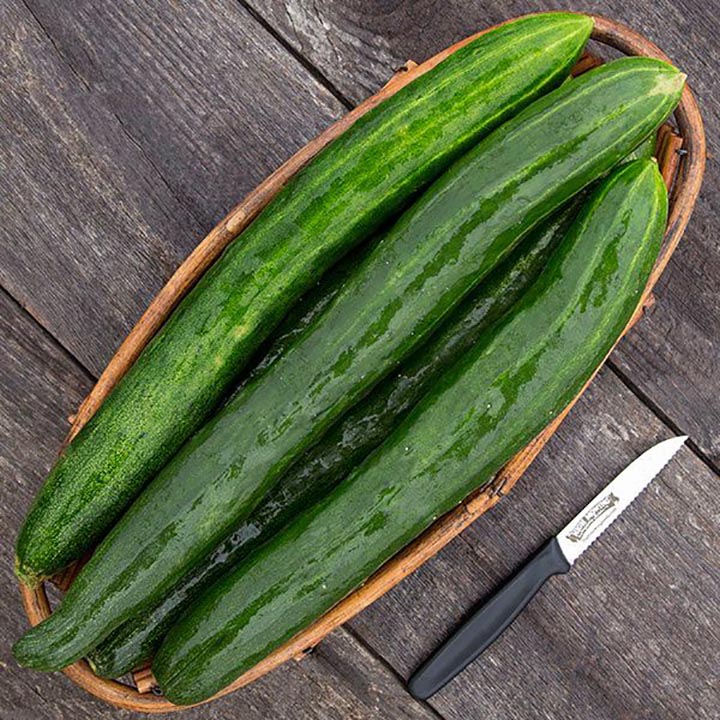 tasty green cucumbers