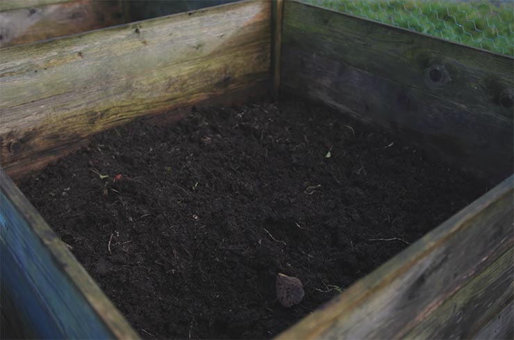 Using Compost as Mulch